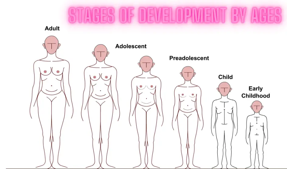 A Comprehensive Guide to the Stages Human of Development by Ages