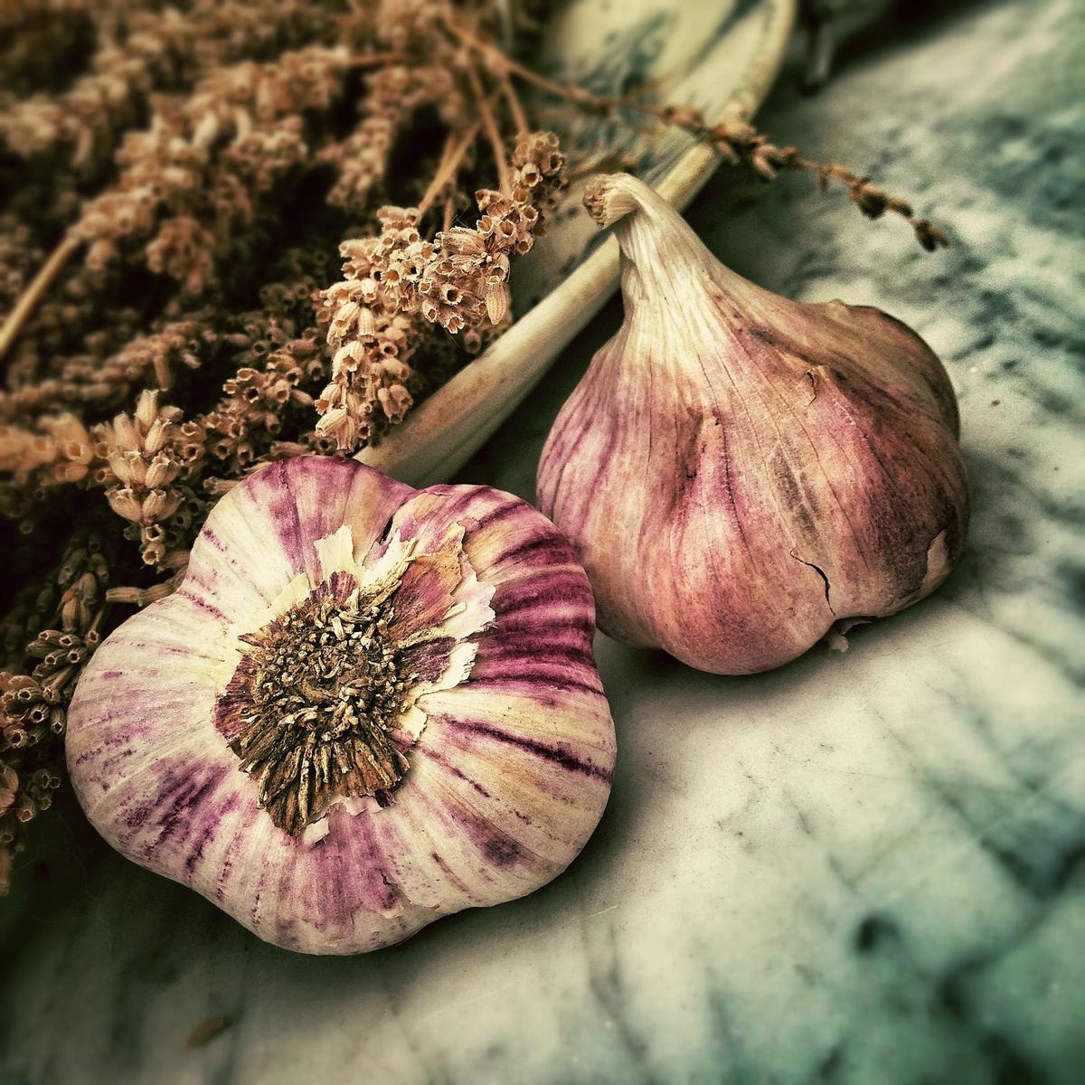 A cup of garlic tea with steam rising, illustrating the health benefits and potential positive impact on the immune system.