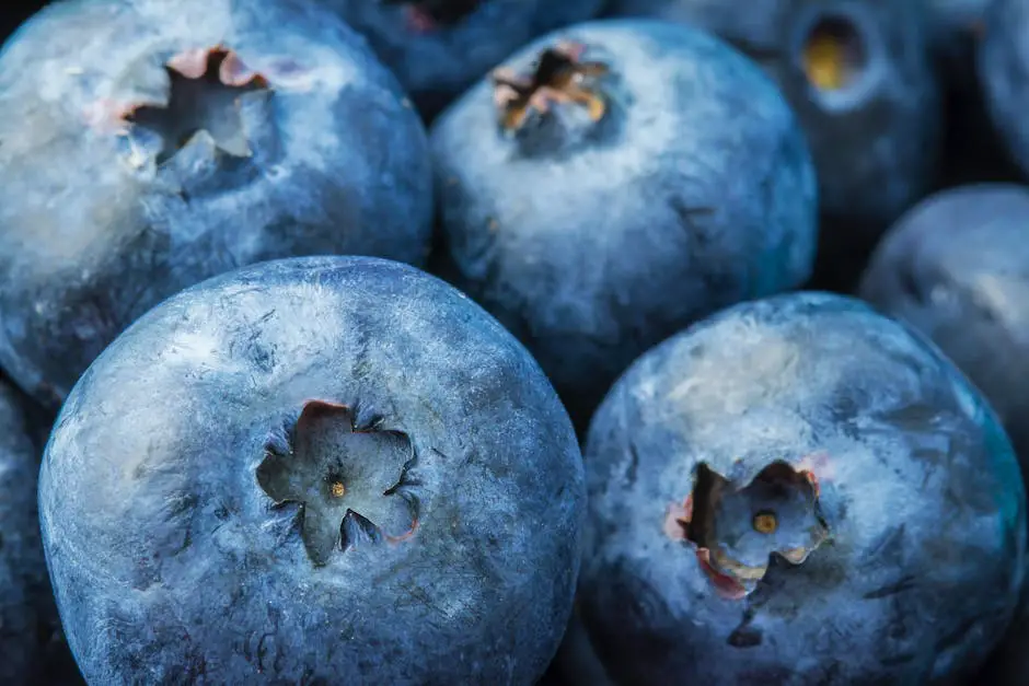 Image of fruits and vegetables, symbolizing a healthy diet for preventing constipation.