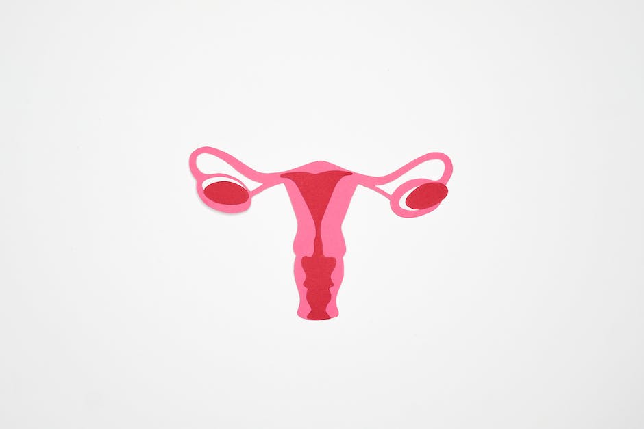 Illustration of a tilted uterus showing its position in relation to the spine